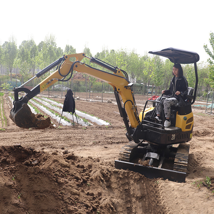 Smallest Micro Digger Excavator 24V Hydraulic Agricultural Excavator 